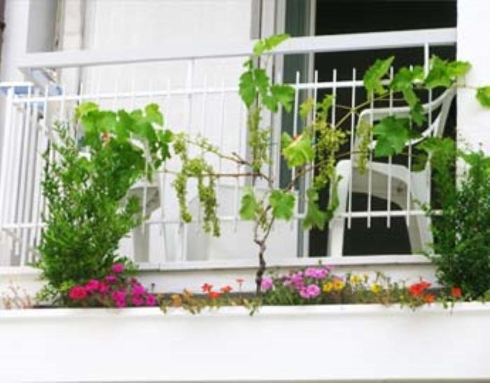 B&B Residence Sorriso Cattolica Zewnętrze zdjęcie